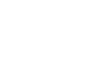 Logo 132