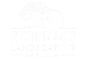 Logo ciminellos