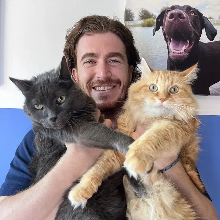 Columbus Ohio Website Development