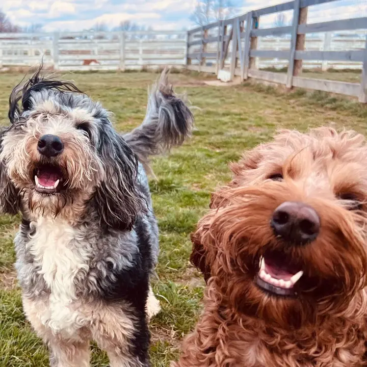 Digital Marketing Agency Columbus