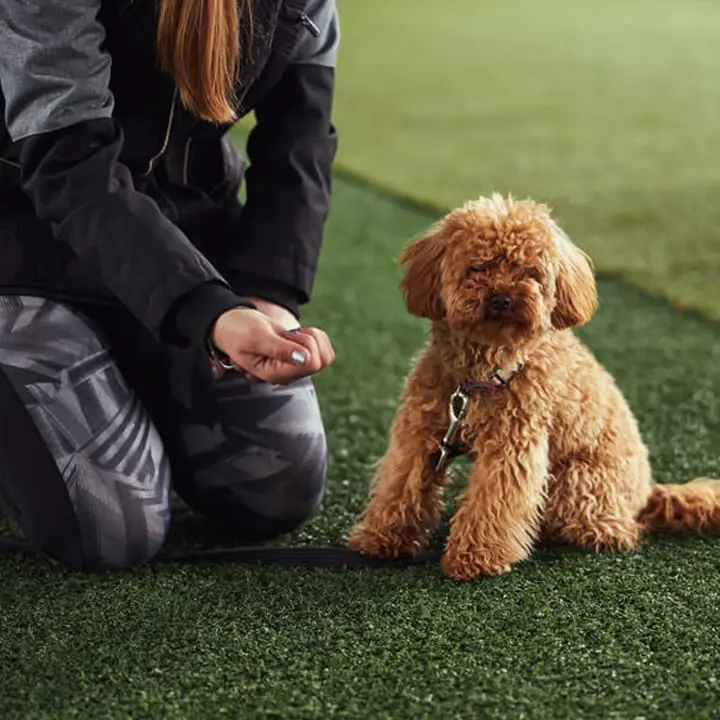 Social Media Marketing Columbus Ohio