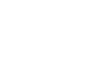Wss